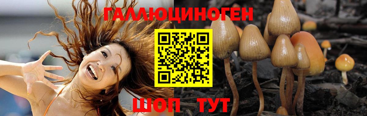 Мариинск  цена наркотик  Вход с VPN  Псилоцибиновые грибы Psilocybe  Псилоцибиновые грибы Cubensis 